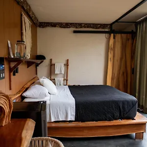 Otel Bufo Alvarius Tulum