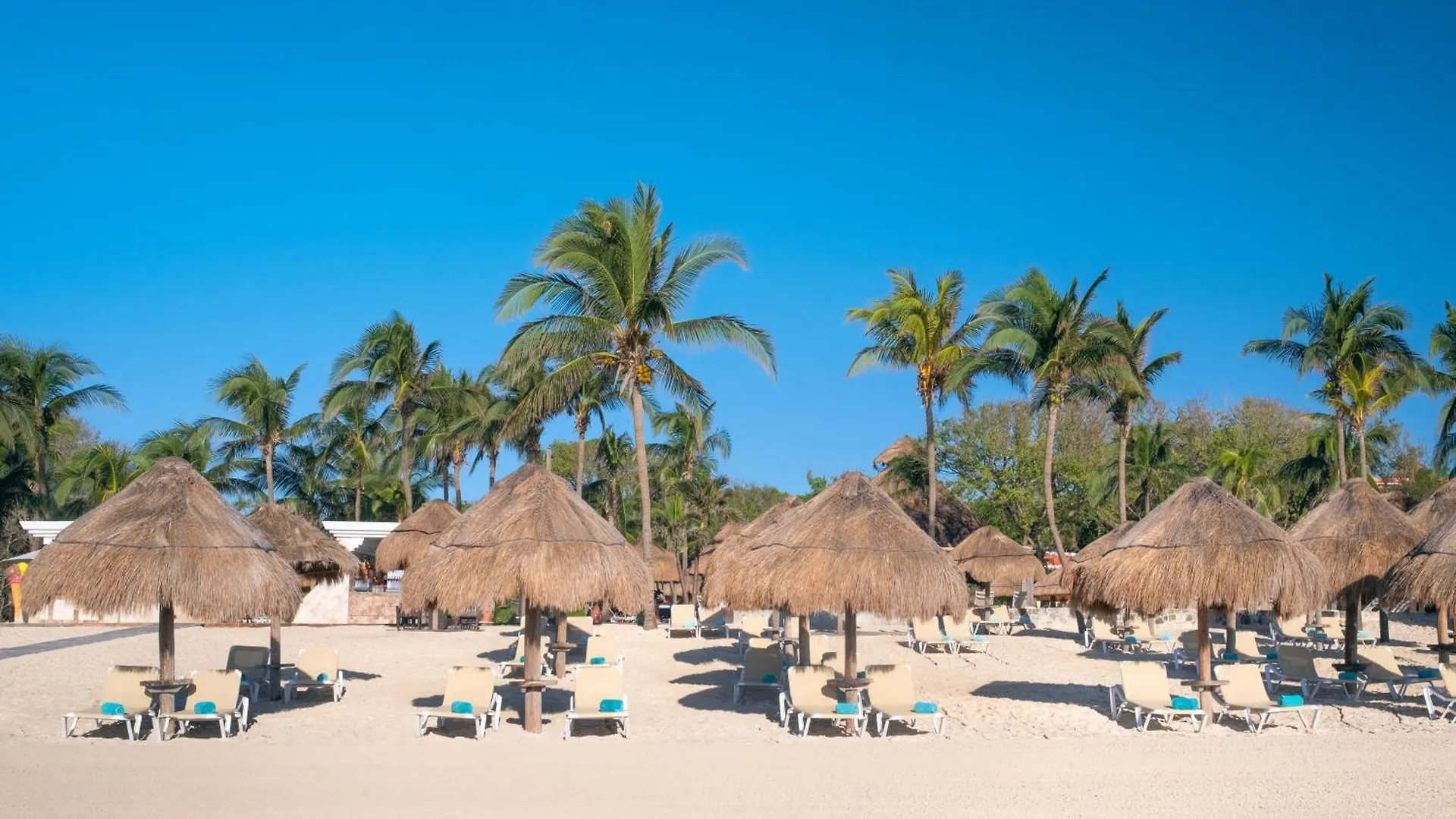 Resort Hotel Iberostar Waves Quetzal Playa del Carmen